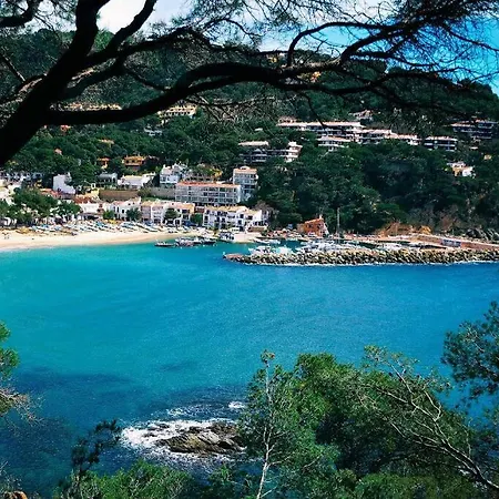 Clipper Costa Brava Appartamento *